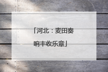 河北：麦田奏响丰收乐章