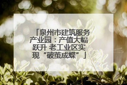 泉州市建筑服务产业园：产值大幅跃升 老工业区实现“破茧成蝶”