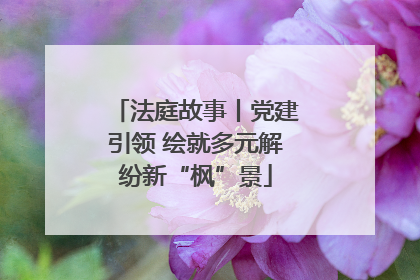 法庭故事丨党建引领 绘就多元解纷新“枫”景
