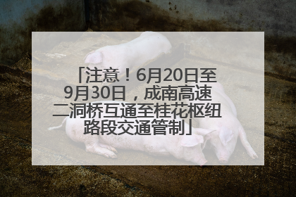 注意！6月20日至9月30日，成南高速二洞桥互通至桂花枢纽路段交通管制