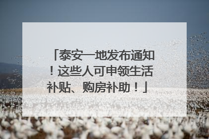 泰安一地发布通知！这些人可申领生活补贴、购房补助！