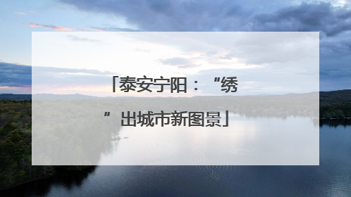 泰安宁阳：“绣”出城市新图景