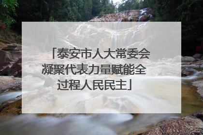 泰安市人大常委会凝聚代表力量赋能全过程人民民主