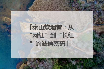 泰山炊烟巷：从“网红”到“长红”的诚信密码