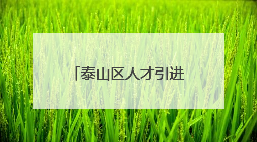 泰山区人才引进最新公告，这9人递补进入面试！