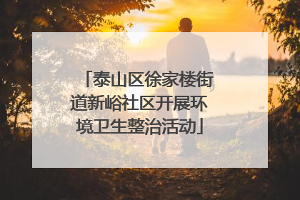 泰山区徐家楼街道新峪社区开展环境卫生整治活动