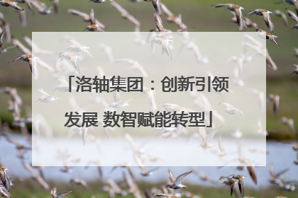 洛轴集团：创新引领发展 数智赋能转型