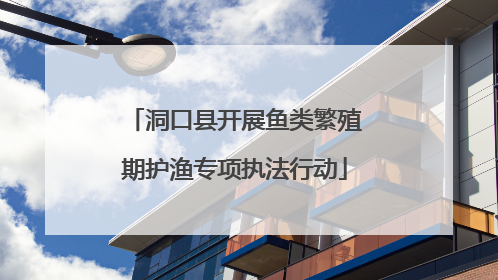 洞口县开展鱼类繁殖期护渔专项执法行动