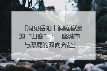 洞见岳阳丨洞庭碧波迎“归客”：一座城市与麋鹿的双向奔赴