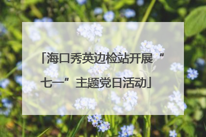 海口秀英边检站开展“七一”主题党日活动