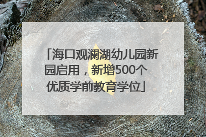 海口观澜湖幼儿园新园启用，新增500个优质学前教育学位
