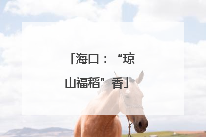 海口：“琼山福稻”香