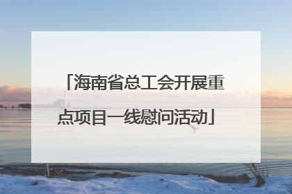 海南省总工会开展重点项目一线慰问活动