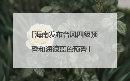 海南发布台风四级预警和海浪蓝色预警