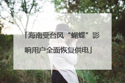 海南受台风“蝴蝶”影响用户全面恢复供电