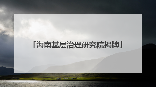海南基层治理研究院揭牌