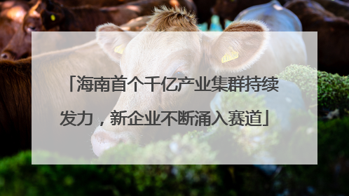 海南首个千亿产业集群持续发力，新企业不断涌入赛道