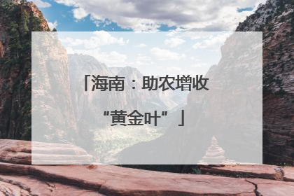 海南：助农增收 “黄金叶”