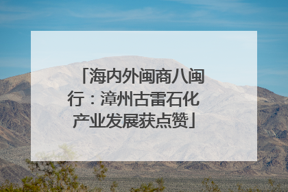 海内外闽商八闽行：漳州古雷石化产业发展获点赞