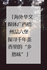 海外华文媒体广西梧州品六堡 探寻千年茶香里的“乡愁味”