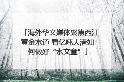 海外华文媒体聚焦西江黄金水道 看亿吨大港如何做好“水文章”