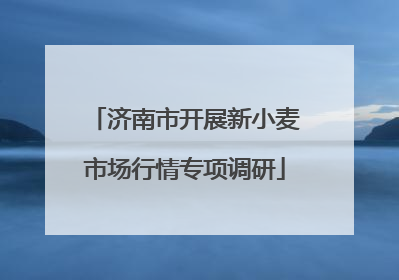 济南市开展新小麦市场行情专项调研