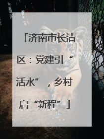 济南市长清区：党建引“活水”，乡村启“新程”