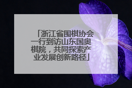 浙江省围棋协会一行到访山东国奥棋院，共同探索产业发展创新路径