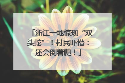 浙江一地惊现“双头蛇”！村民吓懵：还会倒着爬！