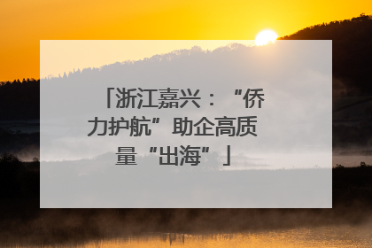 浙江嘉兴：“侨力护航”助企高质量“出海”