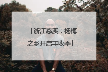 浙江慈溪：杨梅之乡开启丰收季