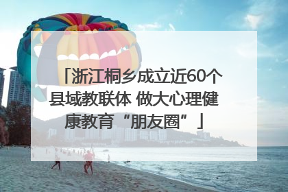 浙江桐乡成立近60个县域教联体 做大心理健康教育“朋友圈”