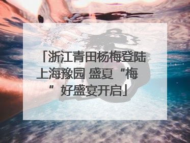 浙江青田杨梅登陆上海豫园 盛夏“梅”好盛宴开启