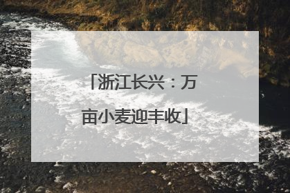 浙江长兴：万亩小麦迎丰收