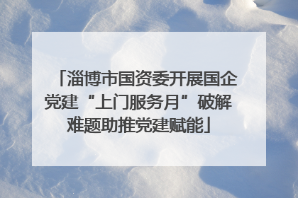 淄博市国资委开展国企党建“上门服务月”破解难题助推党建赋能