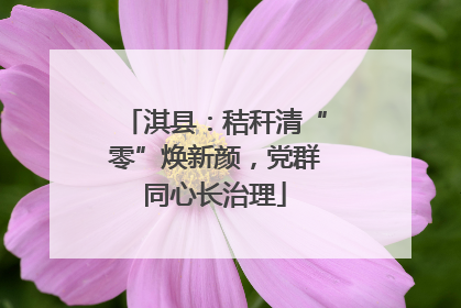 淇县：秸秆清“零”焕新颜，党群同心长治理