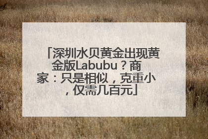 深圳水贝黄金出现黄金版Labubu？商家：只是相似，克重小，仅需几百元