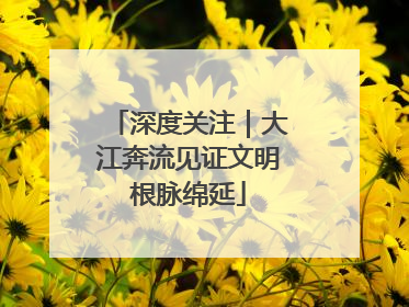 深度关注｜大江奔流见证文明根脉绵延