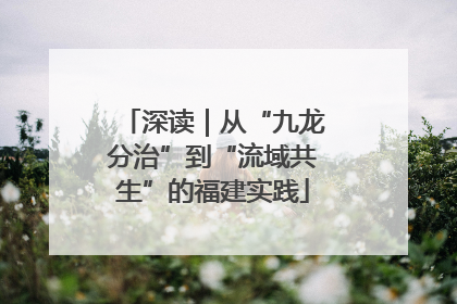 深读｜从“九龙分治”到“流域共生”的福建实践