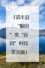 清丰县：“粮田”变“良田”村民笑开颜