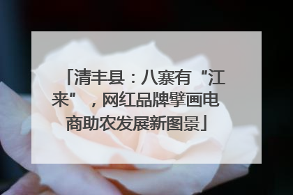 清丰县：八寨有“江来”，网红品牌擘画电商助农发展新图景