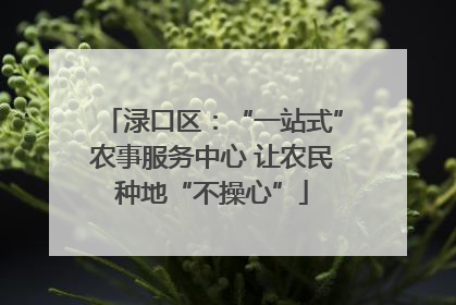 渌口区：“一站式”农事服务中心 让农民种地“不操心”