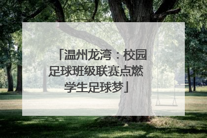 温州龙湾：校园足球班级联赛点燃学生足球梦