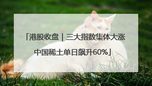 港股收盘｜三大指数集体大涨 中国稀土单日飙升60%