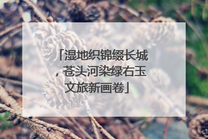 湿地织锦缀长城，苍头河染绿右玉文旅新画卷