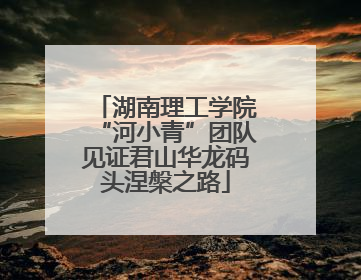 湖南理工学院“河小青”团队见证君山华龙码头涅槃之路