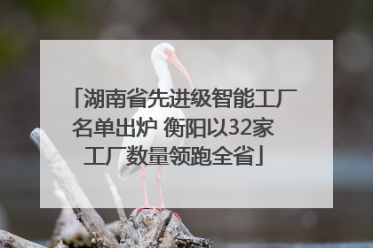湖南省先进级智能工厂名单出炉 衡阳以32家工厂数量领跑全省