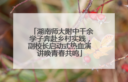 湖南师大附中千余学子奔赴乡村实践，副校长启动式热血演讲唤青春共鸣