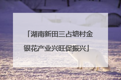 湖南新田三占塘村金银花产业兴旺促振兴