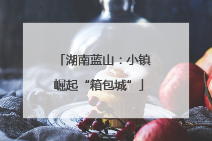 湖南蓝山：小镇崛起“箱包城”